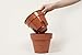Santino Self Watering Planter Latina 9.2 Inch Shade Flower Pot with Bottom Watering and Water Level Indicator for Indoor/Outdoor use for All Plants, Flowers, Herbs