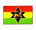 Richard Biffle - Rasta Lion Flag - Sticker / Decal