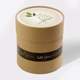 6 in. Let your Love grow Kit