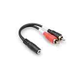 HOSA 3.5MM PHONE F TWO RCA M