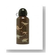 Hatley Boys 2-7 Dinosaurs Water Bottle,Brown,14 Oz./355 ml