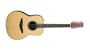 Applause by Ovation AE35-4 12-Strings Acoustic Electric Guitar