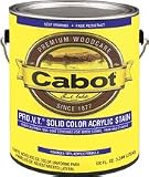 CABOT SAMUEL INC 1400000808005 ProVT QT MED Base Stain
