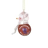 SC Sports Kentucky Wildcats Acrylic Basketball Snowman Ornament (Set of 2)