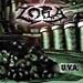 Undisciplined Violent Aggression