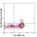 501413 - Size : 25 Tests - Anti-IL-10 Rat Monoclonal Antibody (Alexa Fluor 488) [Clone: JES3-9D7] - Each