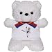 Martial Arts Monkey Kicker Boy Bear