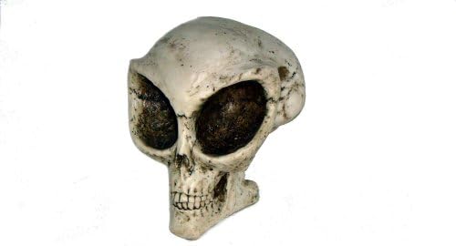 Alien Skull Head Figure Statue Collectible!