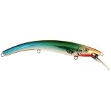 Reef Runner Deep Diver Color: Cheap Sunglasses ( 06 ) - B00019NNI6