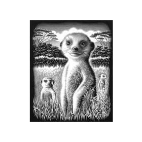 Reeves Medium Scraperfoil (Meerkat)