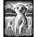 Reeves Medium Scraperfoil (Meerkat)
