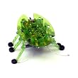 Green Hexbug - Bravo