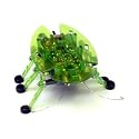 Green Hexbug - Bravo
