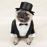 DOG Costume - DOG Tuxedo - X-large- Dog Costume