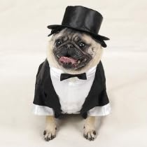 DOG Costume - DOG Tuxedo - X-large- Dog Costume