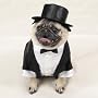 DOG Costume - DOG Tuxedo - X-large- Dog Costume