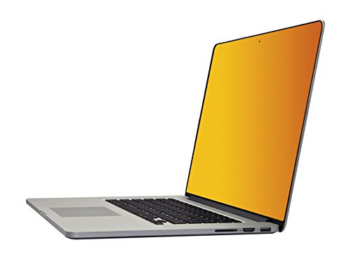 3M Gold Privacy Filter for Widescreen Laptop 17.0" (GPF17.0W)