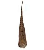 Ringneck Pheasant Tail Clumps Color: Natural (Cock)