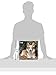 Corgi Calendar - Only Dog Breed Corgi Calendar - 2016 Wall calendars - Dog Calendars - Monthly Wall Calendar by Avonside