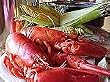 Two pound Maine Live Lobster