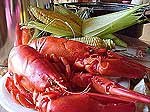 Two pound Maine Live Lobster