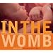 In the Womb: Witness the Journey from Conception to Birth through Astonishing 3D Images