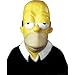 Search : Homer Simpson Mask