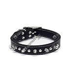 Circle T Single Row Spiked Tanned Collar