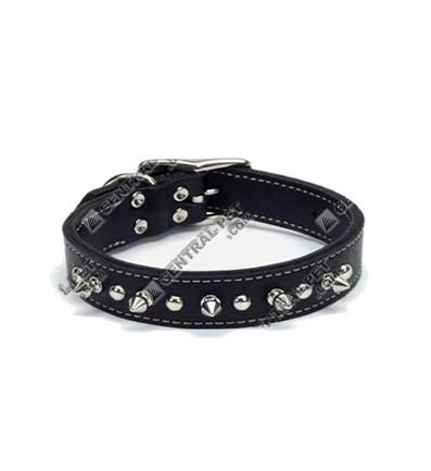 C Lth Oaktan Spike Collar 1