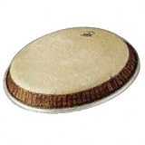 Remo Toca Conga Replacement Head, 11 Inches