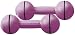 Sporting Goods : Everlast for Her 10-Pound Vinyl Dumbbells