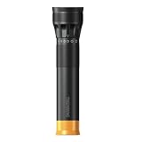 Duracell Daylite 160-Lumens, 4-Watt LED Flashlight with 2-D Alkaline Batteries (Health and Beauty)