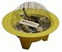 Mini Incubator w/ 4 Fertile Quail Eggs