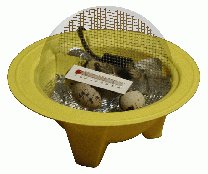 Childrens Toyshop  Tools & Hardware : Kids' Mini Incubator