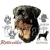 Rottweiler Youth T-Shirt