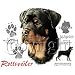 Rottweiler Youth T-Shirt