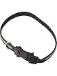 MEDIUM - Glo-Bright LED Flashing Safety Collars