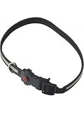 Pet Supplies : MEDIUM - Glo-Bright LED Flashing Safety Collars