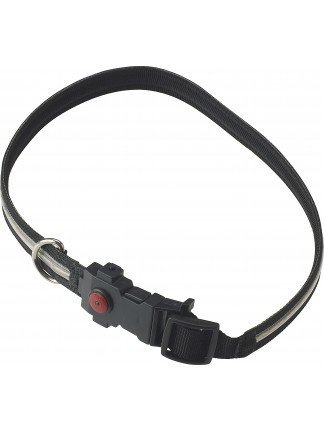 SMALL - Glo-Bright LED Flashing Safety Collars