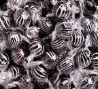 Licorice Balls 2 lbs.