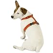 Planet Dog Cozy Hemp Adjustable Harness Purple Small