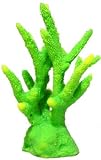 BR STAGHORN CORAL MD GREEN