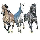 3 Horses Running Youth Sweatshirt