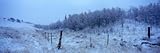IMAGE OF Fence in Snow Covered Landscape, Blackfeet Indian Reservation, Montana, USA Photographic Poster Print by Panoramic Images , 12x36