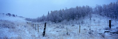 Fence in Snow Covered Landscape, Blackfeet Indian Reservation, Montana, USA Photographic Poster Print by Panoramic Images , 12x36
