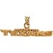 14k Yellow Gold Pendant Houston Texans - Name 4.75x31.75mm