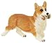 Best In Show - Pembroke Corgi