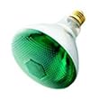 Havells-SLI 03042 - 100BR38/GREEN - 100 Watt BR38 Incandescent Flood Light Bulb, Green