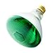 Havells-SLI 03042 - 100BR38/GREEN - 100 Watt BR38 Incandescent Flood Light Bulb, Green