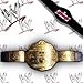 WWE Adult Size World Heavyweight Version 2 Replica Wrestling Belt